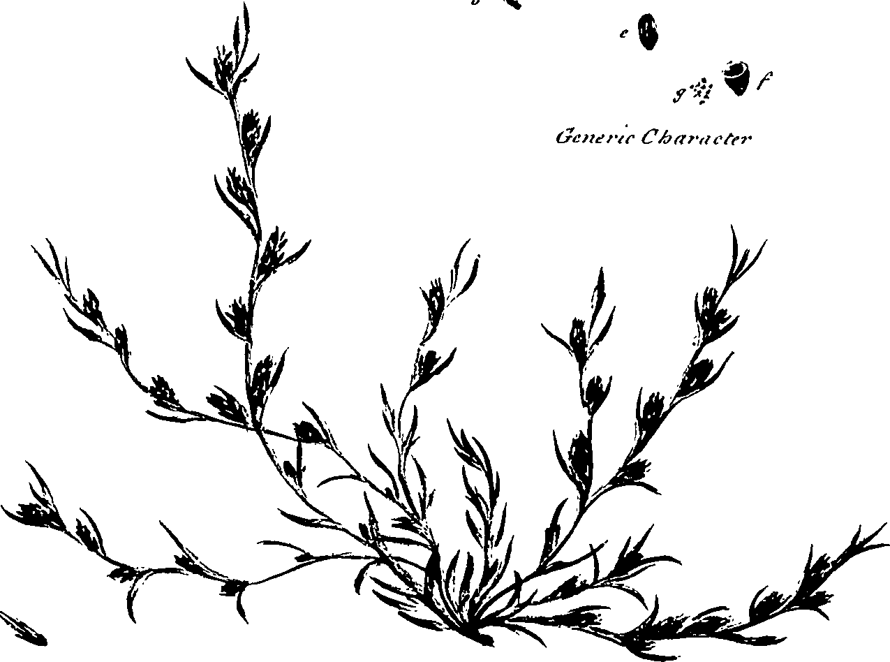 099/099320011401240_1.png