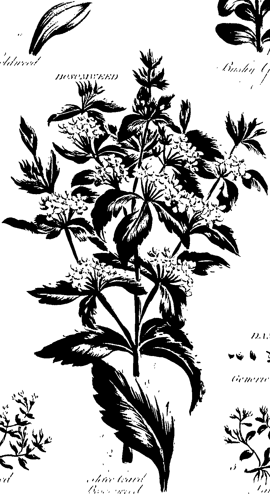 099/099320011401270_0.png