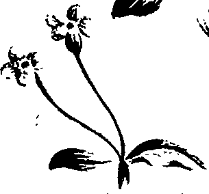 099/099320011401270_1.png