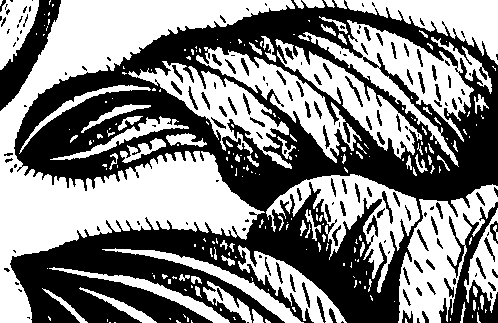 099/099320011401280_0.png