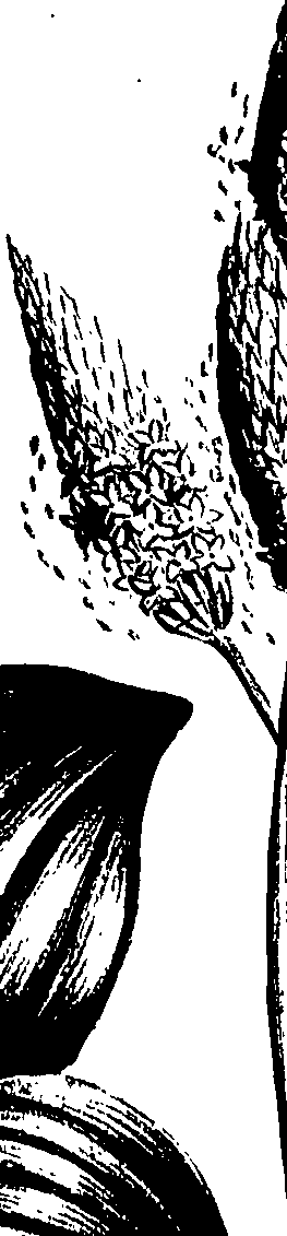099/099320011401280_1.png
