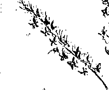 099/099320011401290_0.png