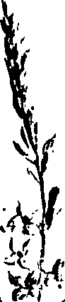 099/099320011401290_1.png