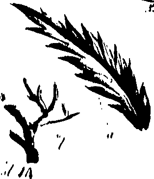 099/099320011401320_0.png