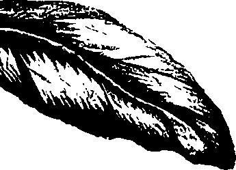 099/099320011401340_0.png