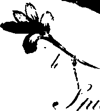 099/099320011401340_1.png