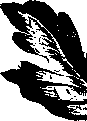 099/099320011401340_2.png