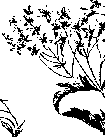 099/099320011401340_3.png