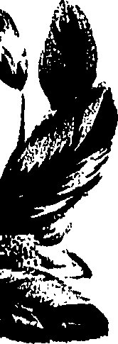 099/099320011500660_1.png