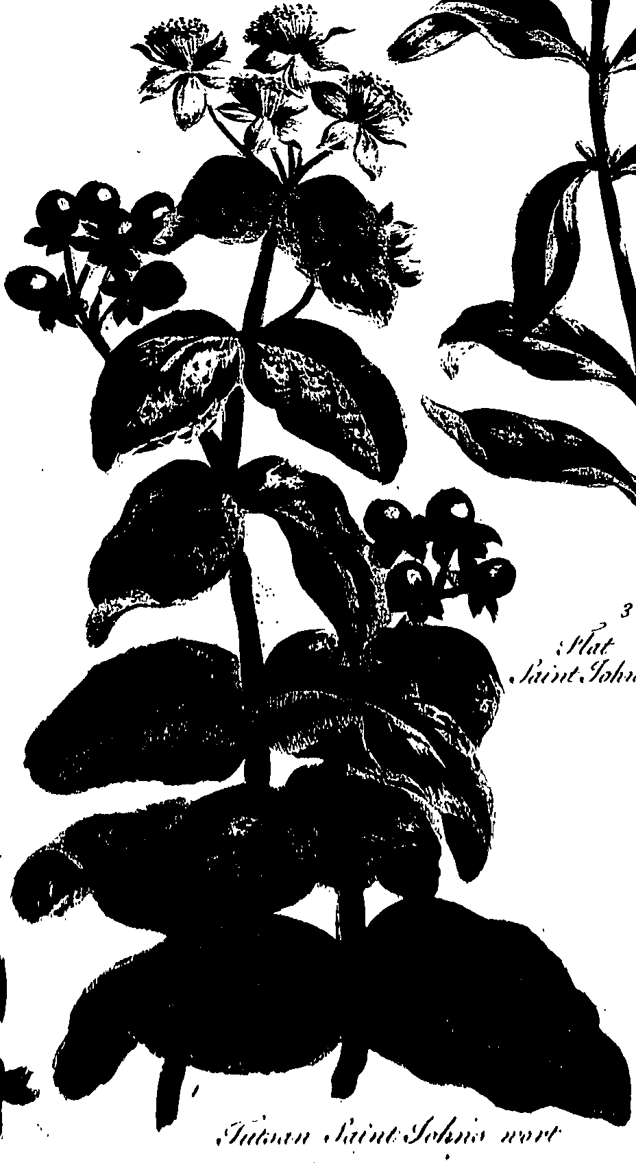 099/099320011500670_2.png