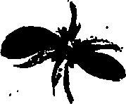 099/099320011500740_1.png