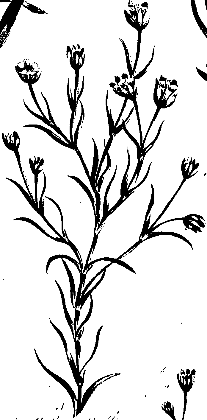 099/099320011500770_0.png