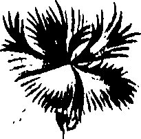 099/099320011500790_0.png