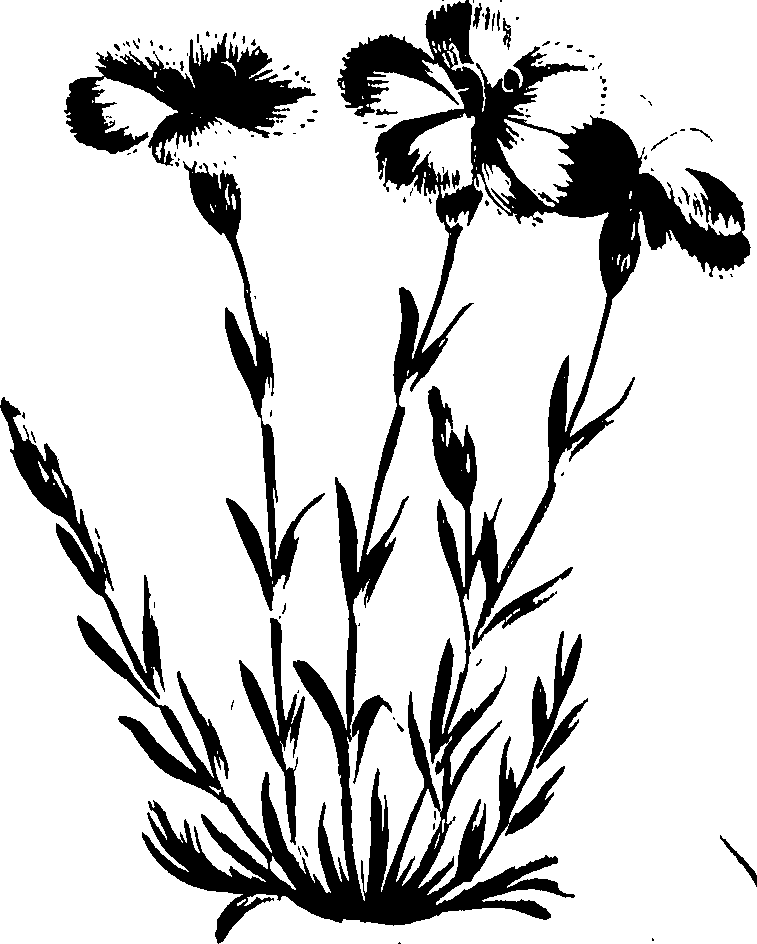 099/099320011500800_0.png