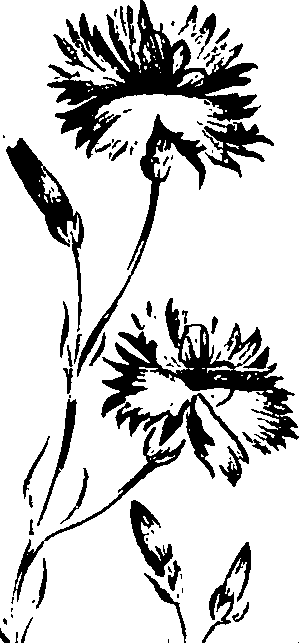 099/099320011500810_1.png