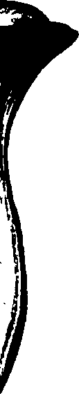 099/099320011500820_0.png