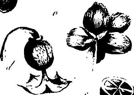 099/099320011500820_2.png