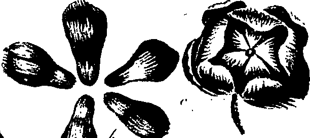 099/099320011500820_3.png