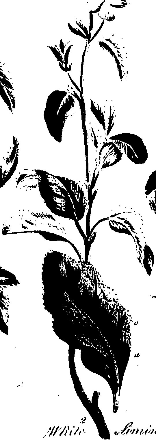 099/099320011500830_0.png