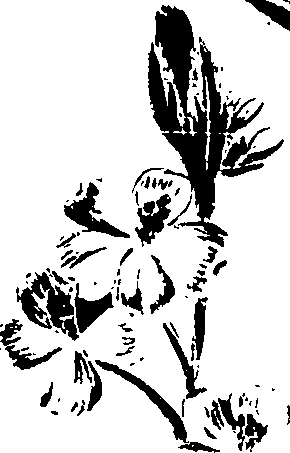 099/099320011500830_1.png