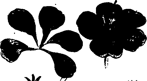 099/099320011500830_2.png
