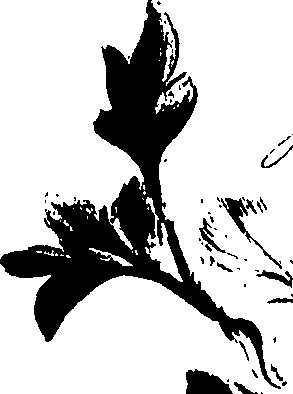 099/099320011500840_0.png