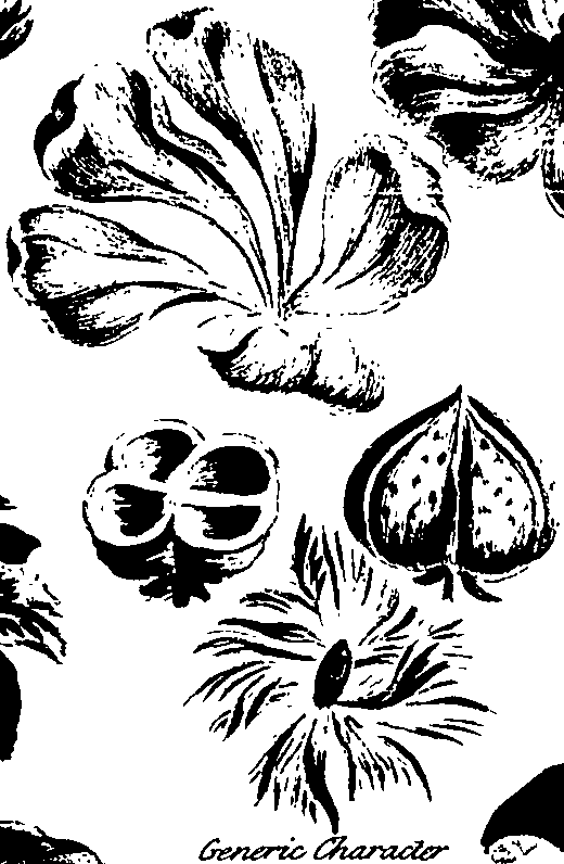 099/099320011500840_1.png