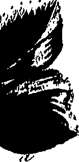 099/099320011500850_0.png