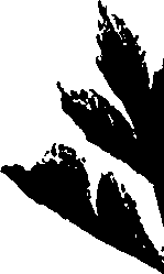 099/099320011500850_2.png