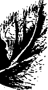 099/099320011500850_3.png