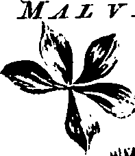 099/099320011500850_4.png