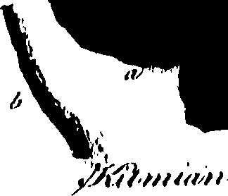 099/099320011500890_0.png