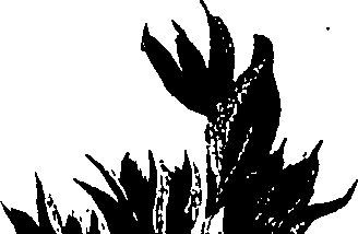 099/099320011500890_1.png