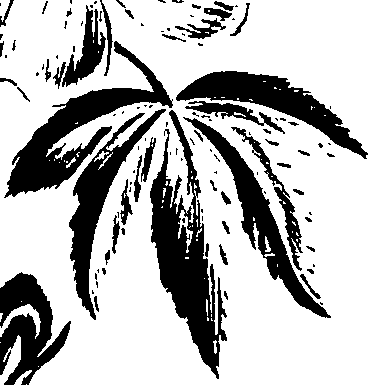 099/099320011500900_1.png