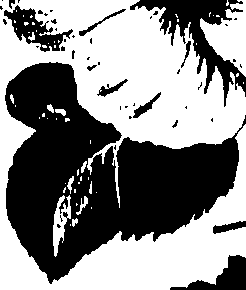099/099320011500920_0.png