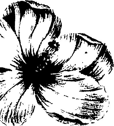 099/099320011500920_1.png