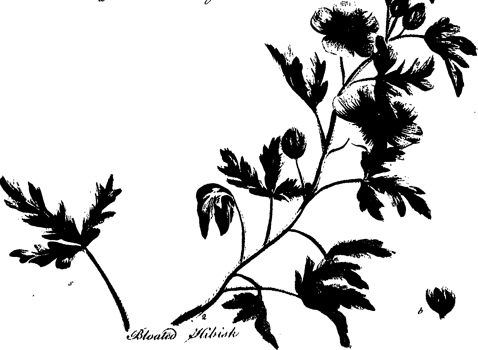 099/099320011500930_0.png