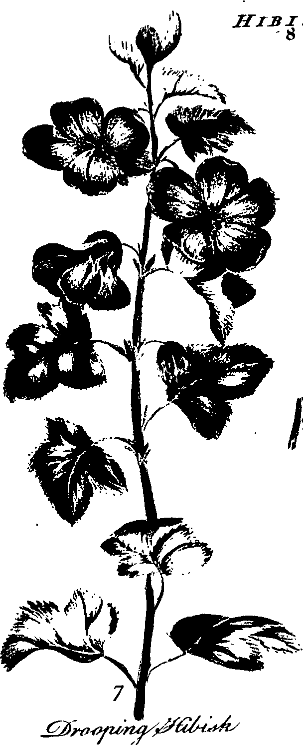 099/099320011500930_1.png