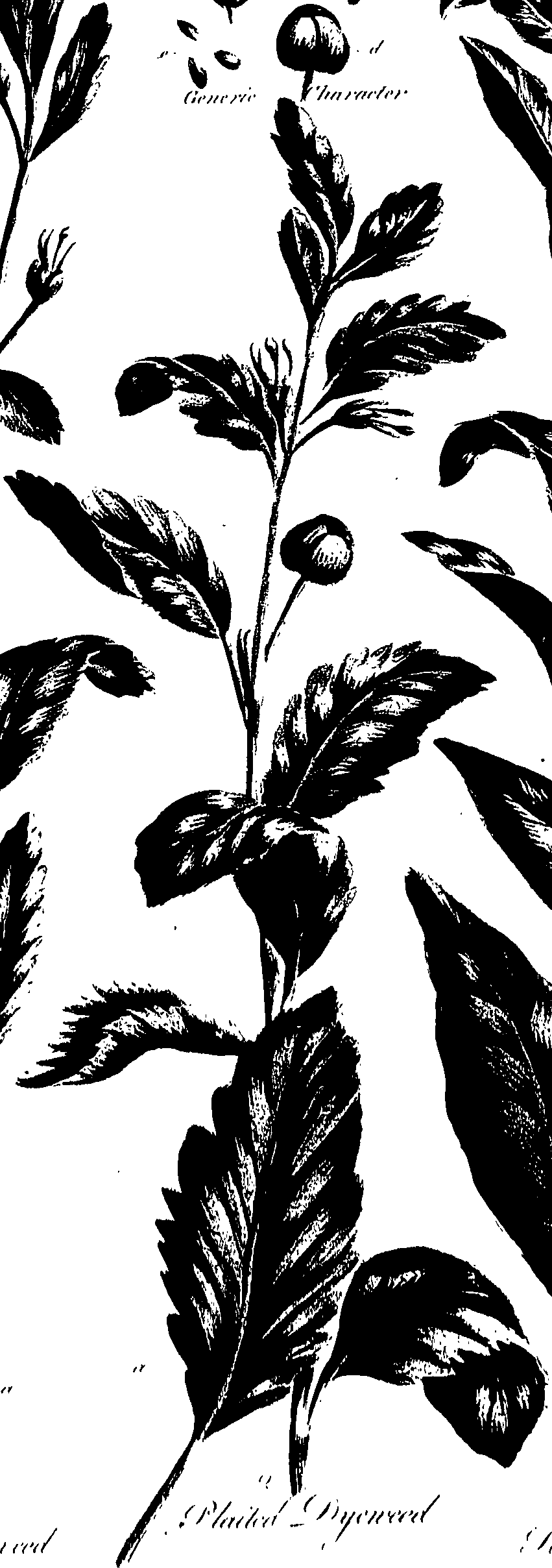 099/099320011500940_0.png