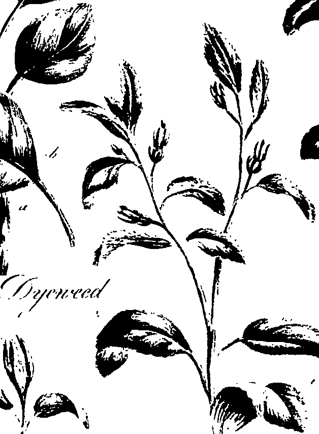099/099320011500950_1.png