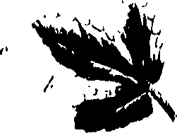 099/099320011500960_0.png