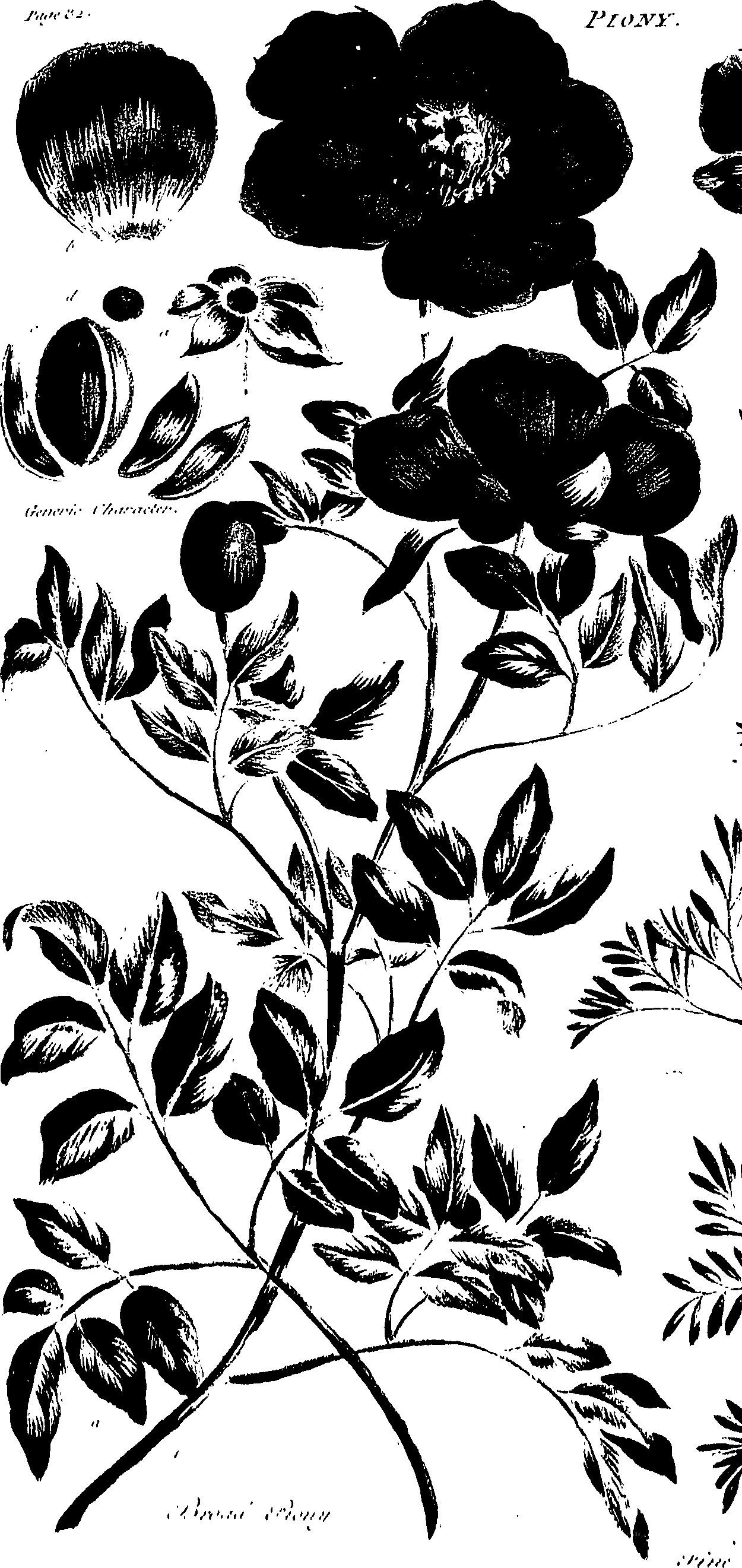099/099320011500970_0.png