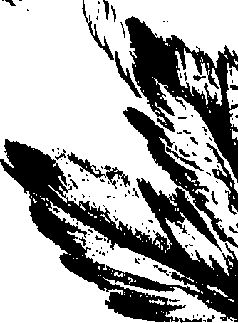 099/099320011501000_0.png