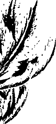 099/099320011501000_1.png