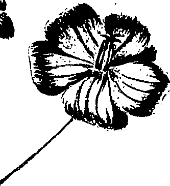 099/099320011501000_2.png