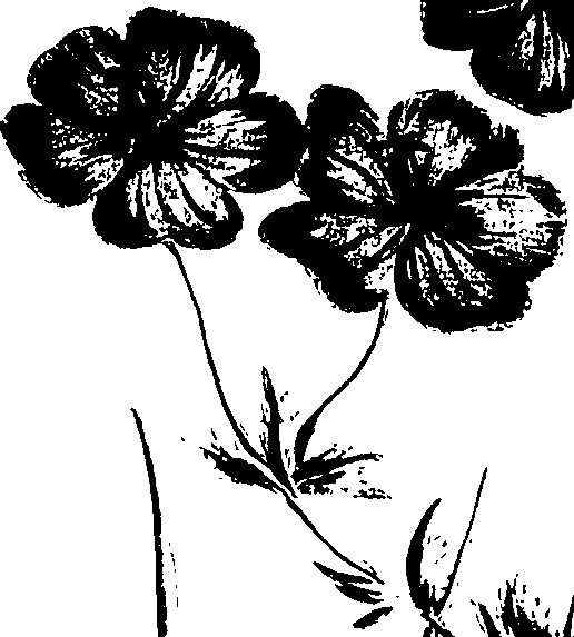099/099320011501000_3.png