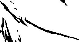 099/099320011501010_0.png