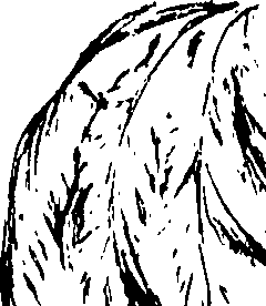 099/099320011501010_1.png