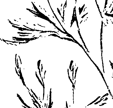 099/099320011501010_2.png