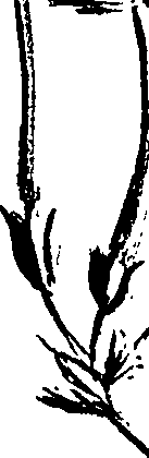 099/099320011501010_3.png